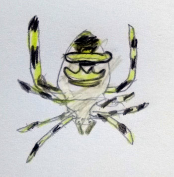wasp spider