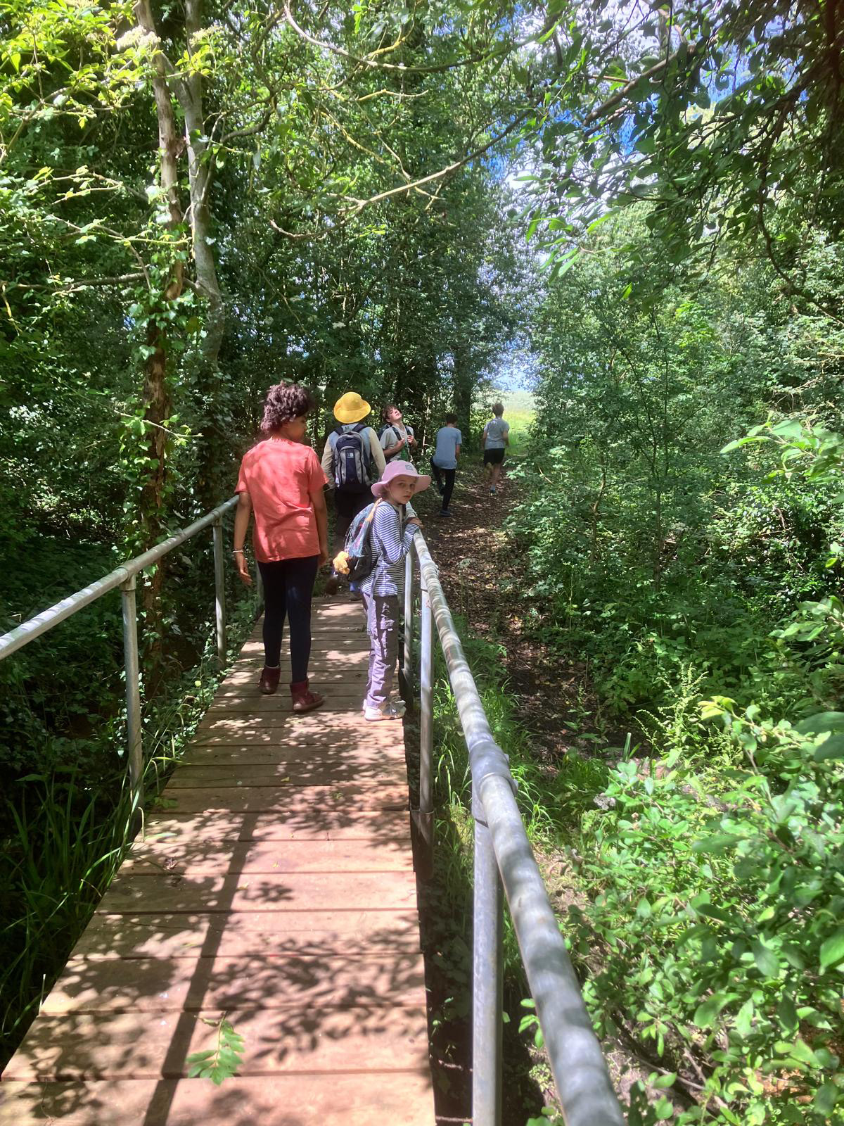 bridge-walk