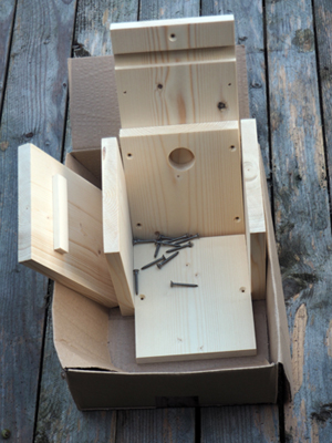 Bird Box kit