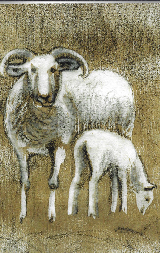 sheep card 2