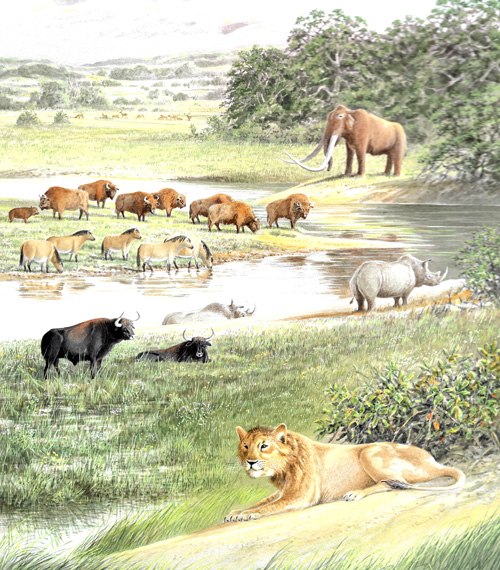 stoneage Essex